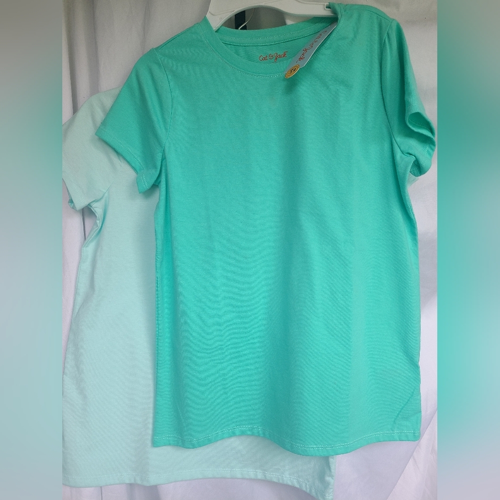 NWT Cat & Jack Girls Blue T Shirt Set